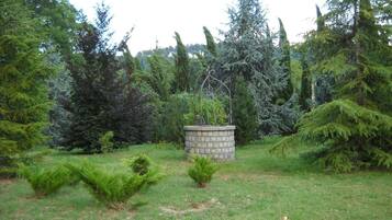 Parco della struttura