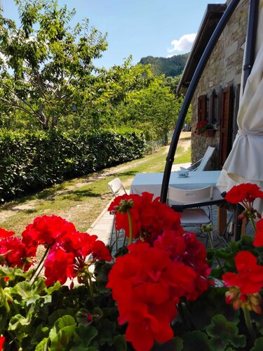 Holiday House La Sala Vecchia immersed in the Foreste Casentinesi National Park
