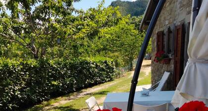 Holiday House La Sala Vecchia immersed in the Foreste Casentinesi National Park