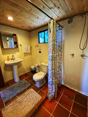 Suite Studio Standard | Douche de la salle de bain