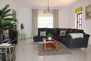 TV connectée, cheminée