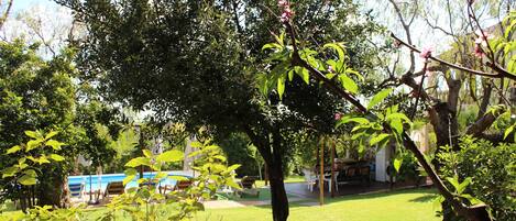 A lush garden with a swimming pool, a dining area, and a large tree with blooming flowers.