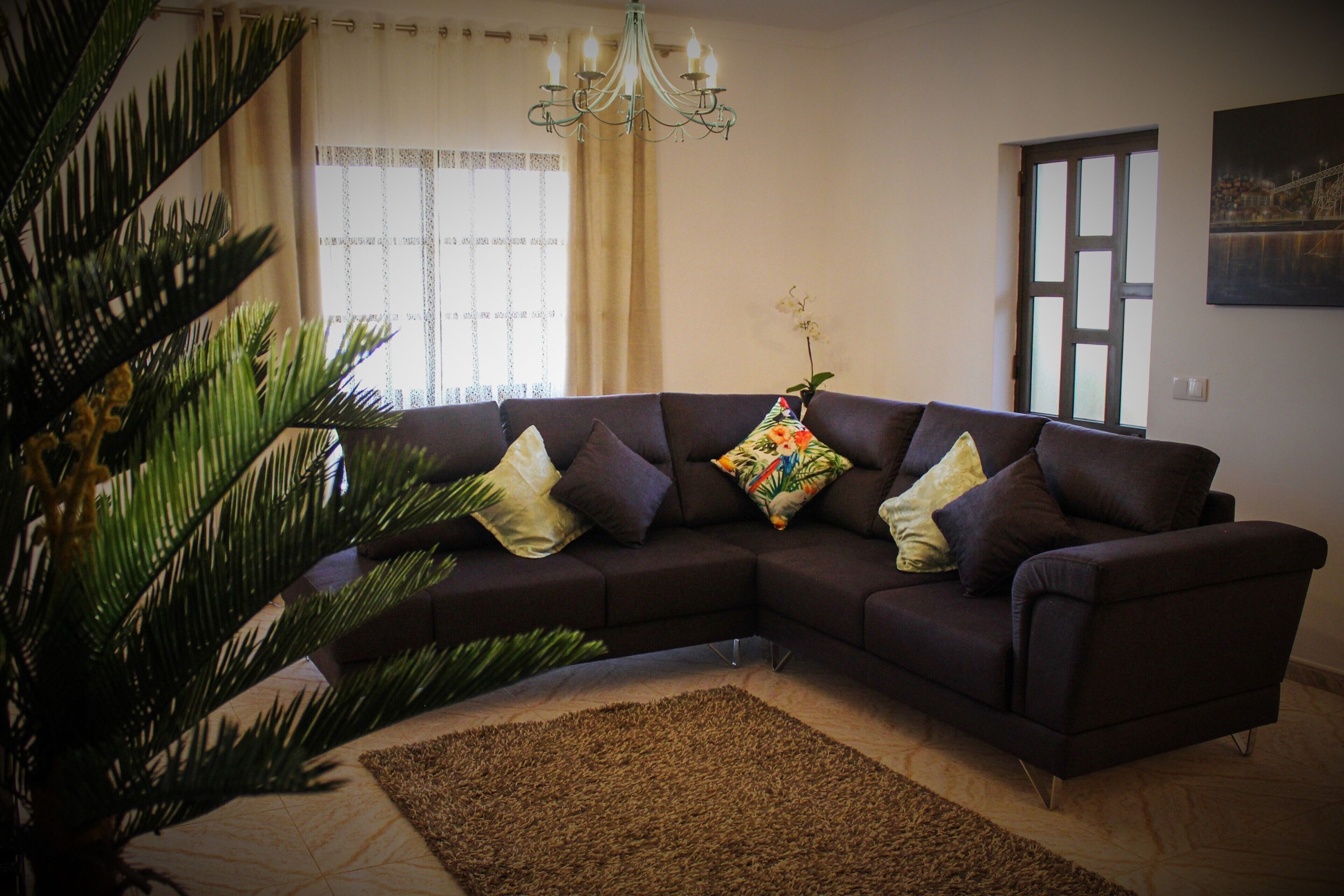 A living room with a dark brown sectional sofa, a patterned rug, a potted plant, and a window with curtains.