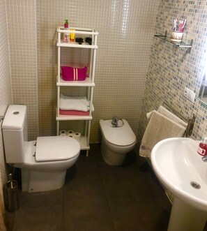 Bathtub, bidet, towels