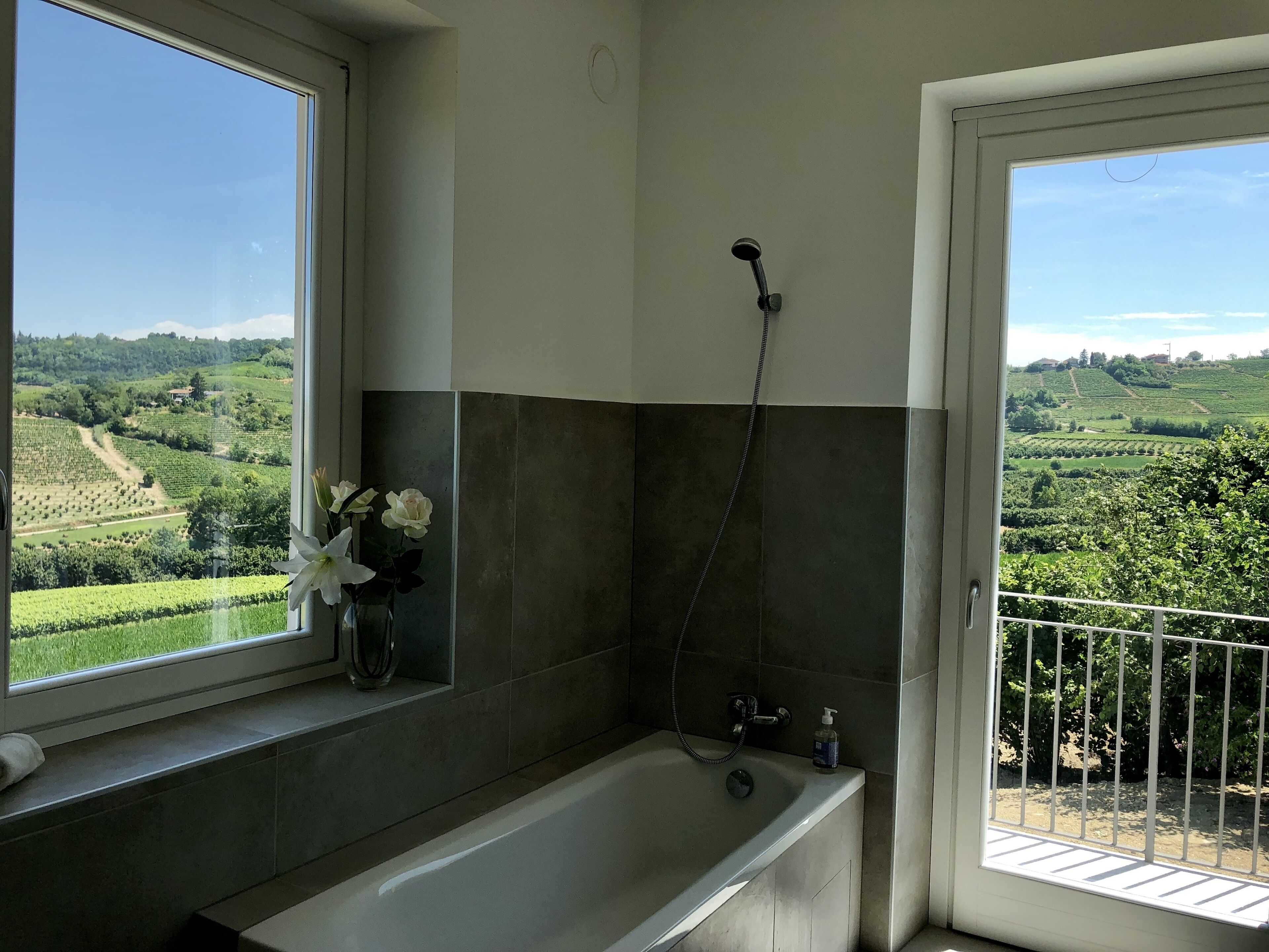 A bathroom with a bathtub, a shower, and a window with a view of a vineyard.