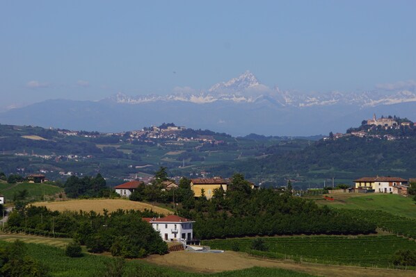 Paisaje rural con casas, viñedos y una cadena montañosa al fondo.