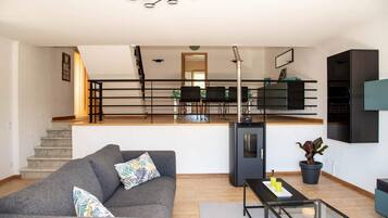 TV, fireplace, table tennis, books