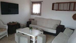 Fernseher, Kamin, DVD-Player, Bücher