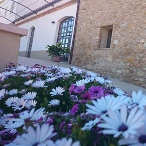 Property grounds - Cottage (full rental) Mas Daudén for 8 people (Tortosa)