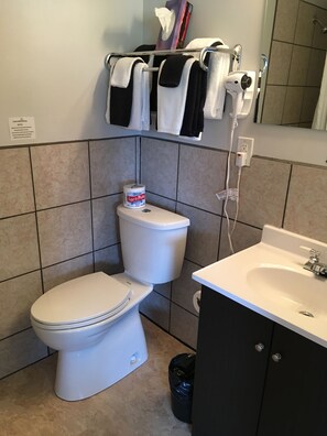 A bathroom with a toilet, a sink, and a towel rack.