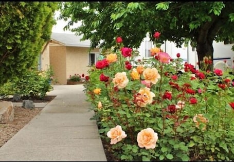 Jardines del alojamiento. Maple Leaf Motel & RV Resort