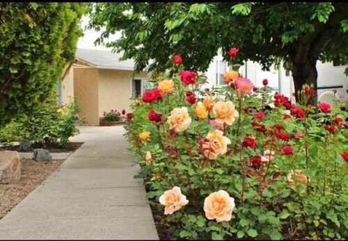 Maple Leaf Motel & RV Resort