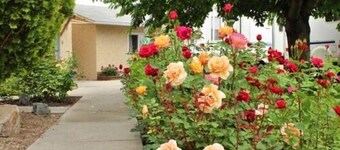 枫叶汽车旅馆及房车度假村