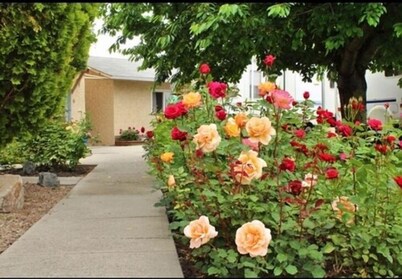 Maple Leaf Motel & RV Resort