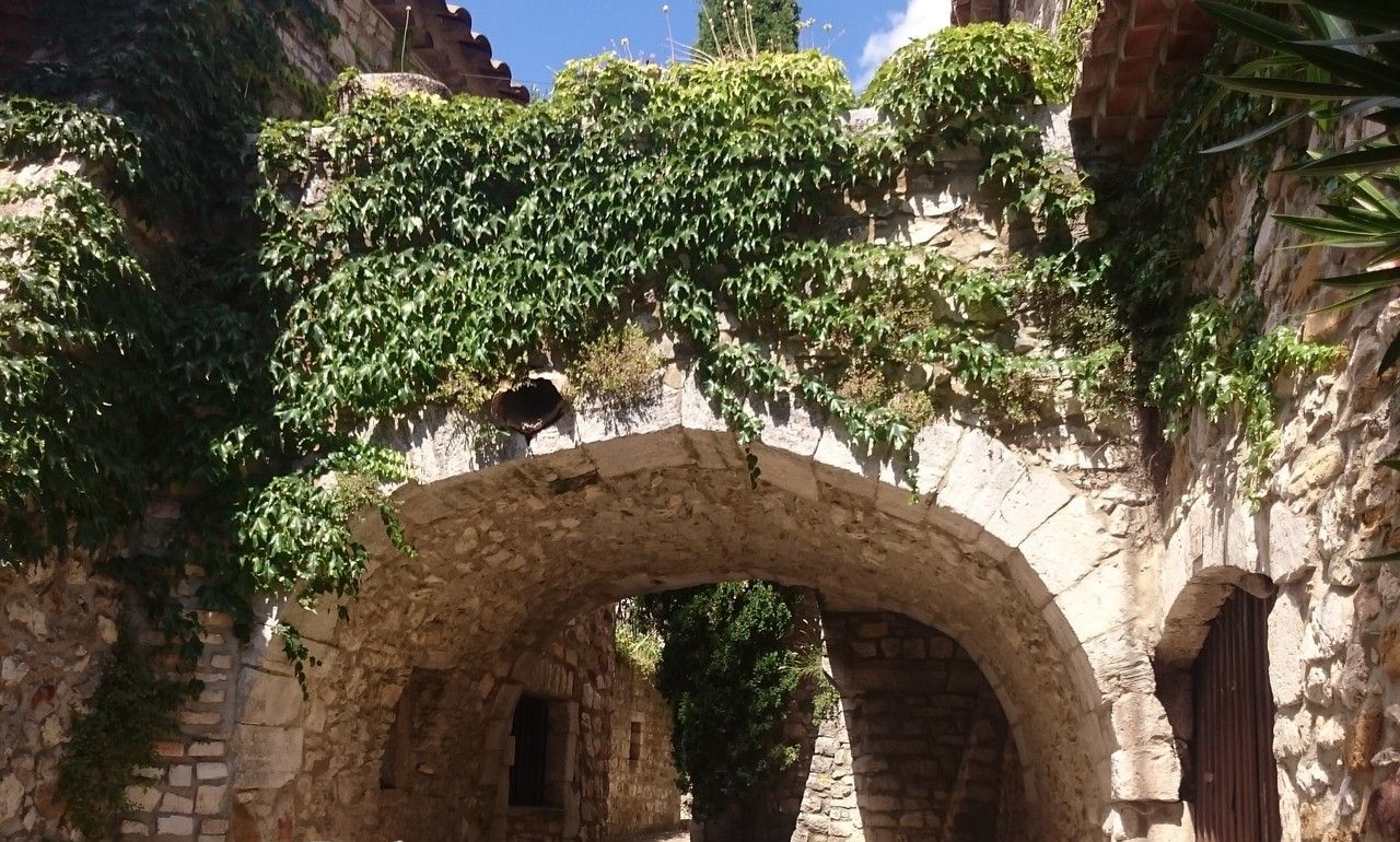 An arched stone structure with ivy growth, labeled "Chez Romane".