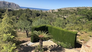 A garden with a variety of plants and a view of a mountainous landscape in the background. - Secluded, Spacious, Luxury Villa & Swimming Pool in Beautiful Rustic Location  (Benidoleig)