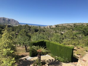 Property grounds - Secluded, Spacious, Luxury Villa & Swimming Pool in Beautiful Rustic Location  (Benidoleig)
