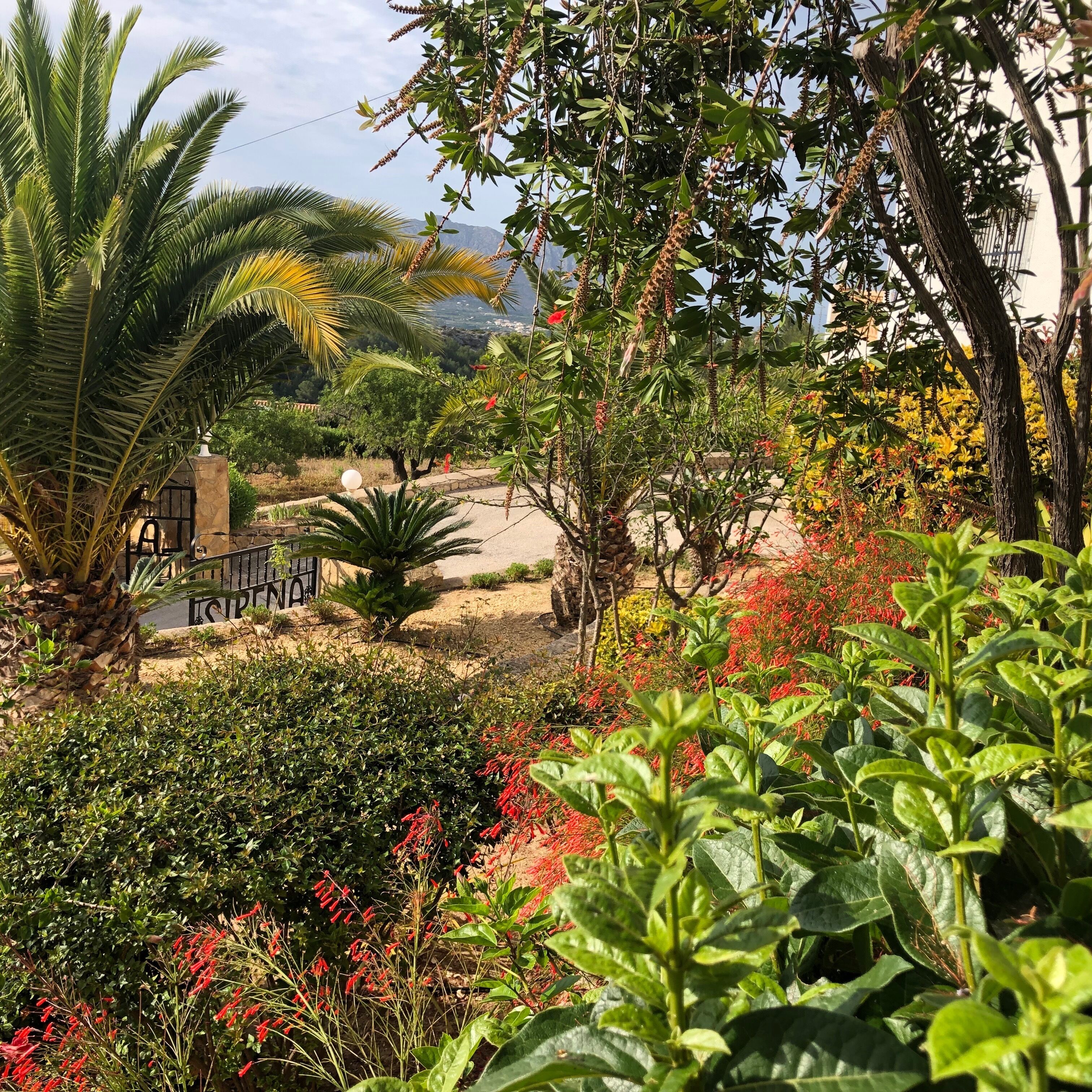 Jardines del alojamiento