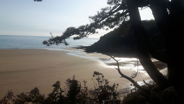 A beach with a tree in the foreground and a clear sky. - Cosy & Comfortable Entire Holiday Home, Llanelli. Fully equipped. Dog friendly (Llanelli)