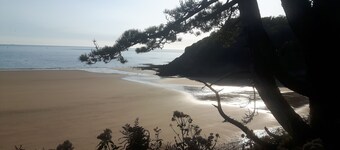 Cosy & Comfortable Entire Holiday Home, Llanelli. Fully equipped. Dog friendly