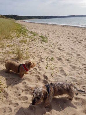 Beach nearby - Cosy & Comfortable Entire Holiday Home, Llanelli. Fully equipped. Dog friendly (Llanelli)