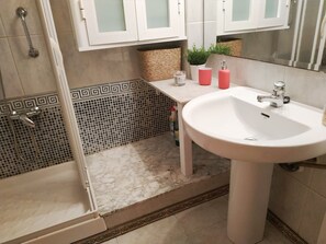 Douche, séchoir à cheveux, bidet, serviettes fournies