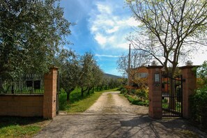 A gated driveway leading to a building with a brick facade, surrounded by trees and a clear sky.