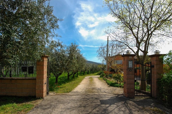 Property grounds - GuestHost - Located in the Capodacqua district of Assisi, 5 km from Assisi, Casa Fiorelli is a quiet apartment surrounded by nature with a wonderful view that stretches from Assisi to Mount Subasio.Located in a strategic position, it allows to reach in f (Capodacqua)