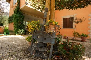 Property grounds - GuestHost - Located in the Capodacqua district of Assisi, 5 km from Assisi, Casa Fiorelli is a quiet apartment surrounded by nature with a wonderful view that stretches from Assisi to Mount Subasio.Located in a strategic position, it allows to reach in f (Capodacqua)