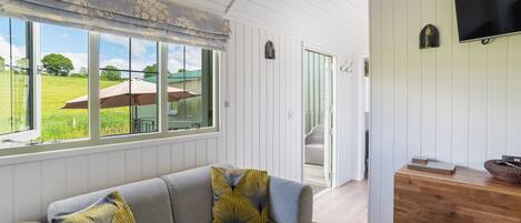 Televisor intel·ligent, reproductor de DVD i llibres