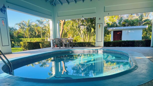 Una piscina con borde de baldosas, rodeada por una zona cubierta con sillas y una mesa, y vistas a la vegetación tropical.