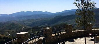 Jardin sur le toit avec jacuzzi privé et vue