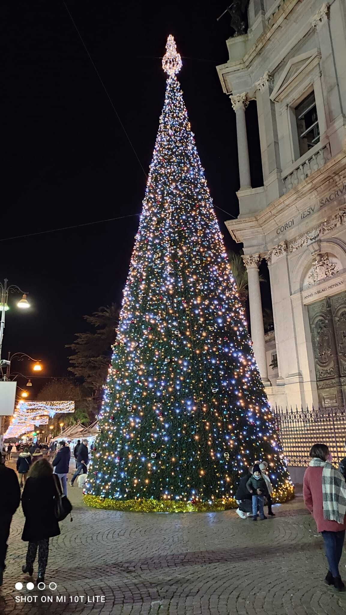 Un grande albero di Natale illuminato in una piazza pubblica all'aperto, con architettura classica sullo sfondo.