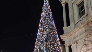Un grand sapin de Noël illuminé, installé sur une place publique, avec en arrière-plan des bâtiments à l’architecture classique.