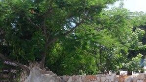 Exterior - Iguana Rana Cabins Bacalar (Bacalar)