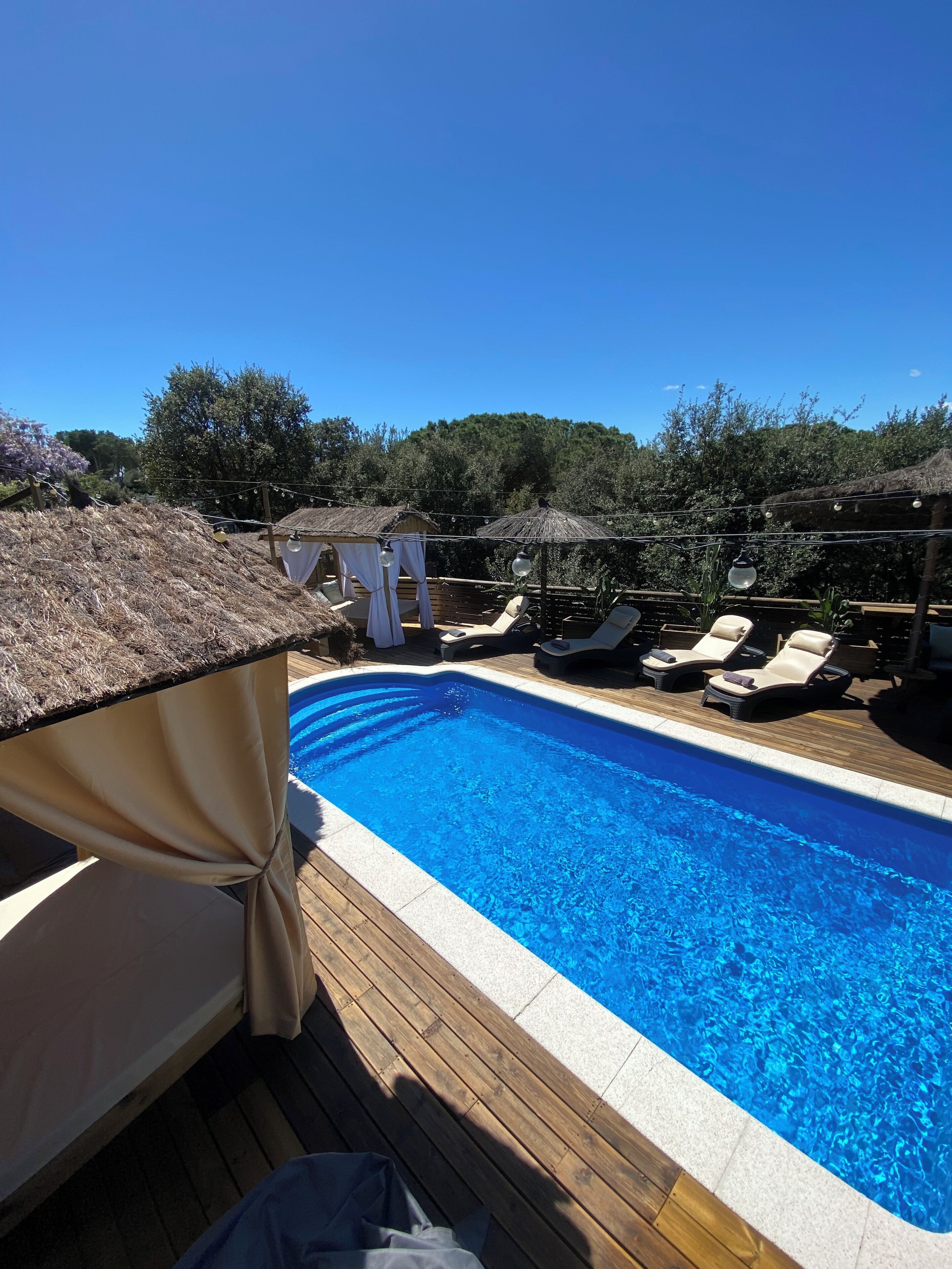 A swimming pool with lounge chairs and a canopy.
