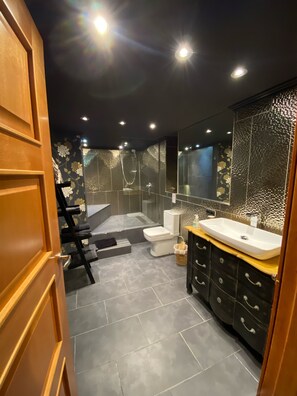 Hair dryer, towels, toilet paper