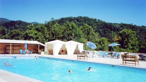 Ein Swimmingpool mit Liegestühlen und Sonnenschirmen, umgeben von bewaldeter Landschaft.