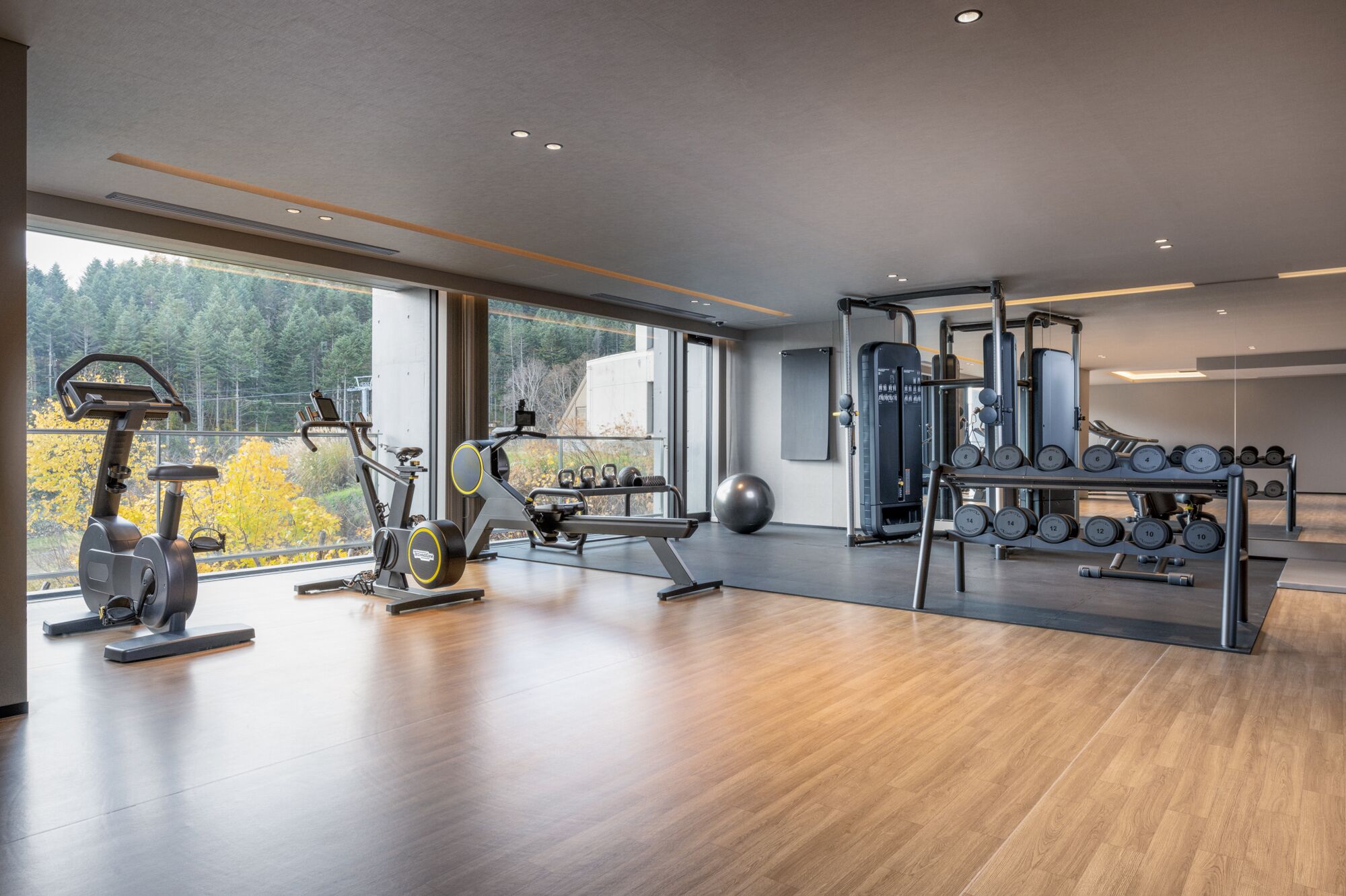 Un gimnasio moderno con máquinas de cardio, pesas libres y un amplio ventanal con vistas a árboles y un edificio.