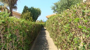 A narrow pathway flanked by dense hedges and a tall tree, leading towards a building with a tiled roof. - CASA PARADISO Vacanze  (Costa Saracena - Castelluccio)