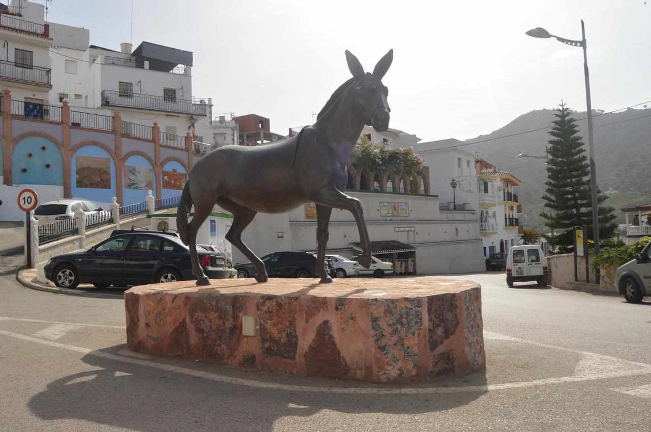 A horse statue on a pedestal in an urban setting with buildings and vehicles in the background.