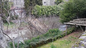 Un vialetto in pietra con muschio, una pergola in legno e un giardino con fiori gialli.