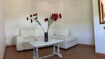 Una televisión, un futbolín