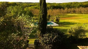 Una piscina envoltada de vegetació abundant i un cel serè.