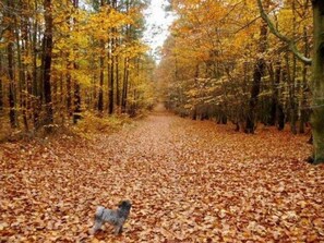 Imagen sin descripción, 4 de 26, botón