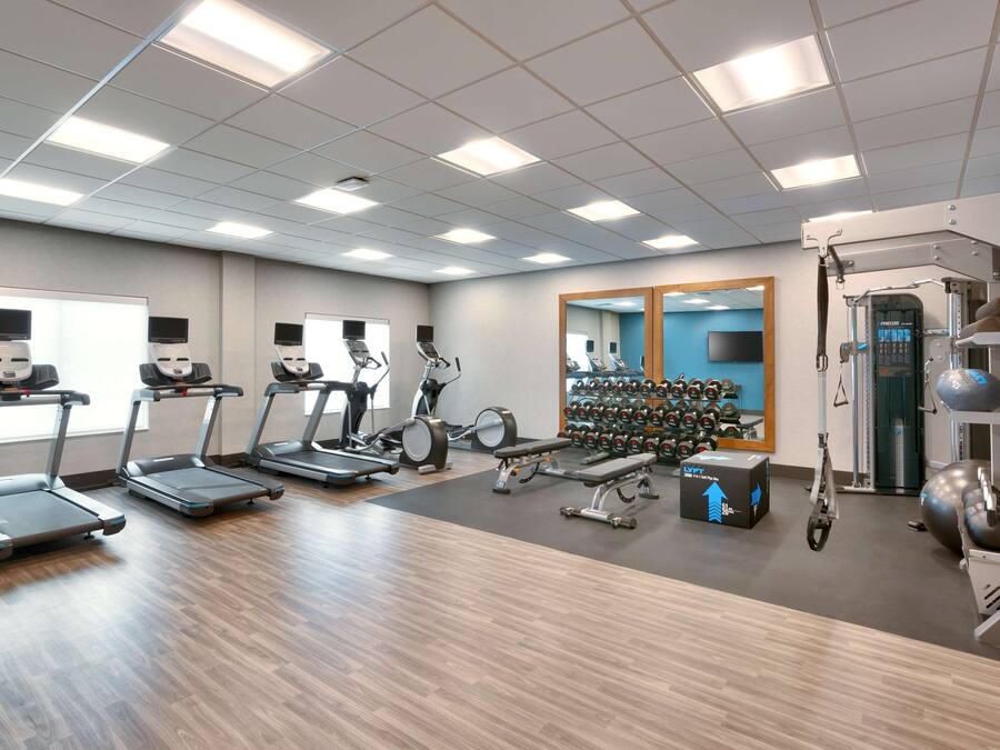 A gym with treadmills, elliptical machines, free weights, and a weight bench.