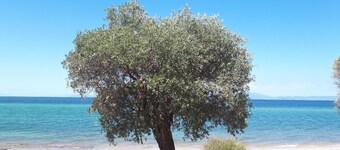 Holiday house Skála Marión for 1 - 4 persons with 2 bedrooms - Holiday home