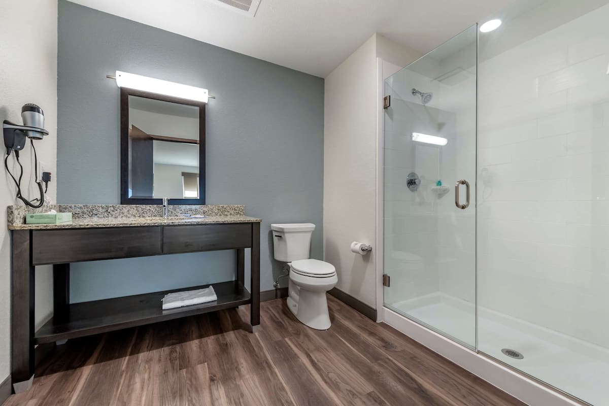 suite, 1 king bed, accessible, non smoking | desk, iron/ironing board, free wifi, bed sheets