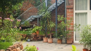 A brick staircase leading to a covered area with potted plants and a stone wall. - Living in a unique atmosphere near the Europapark Rust (Ettenheim)