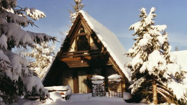 Una cabaña de madera con techo cubierto de nieve, rodeada de árboles cargados de nieve.